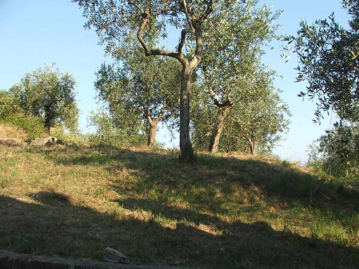 La Casetta Di Sofia Moneglia Exterior foto