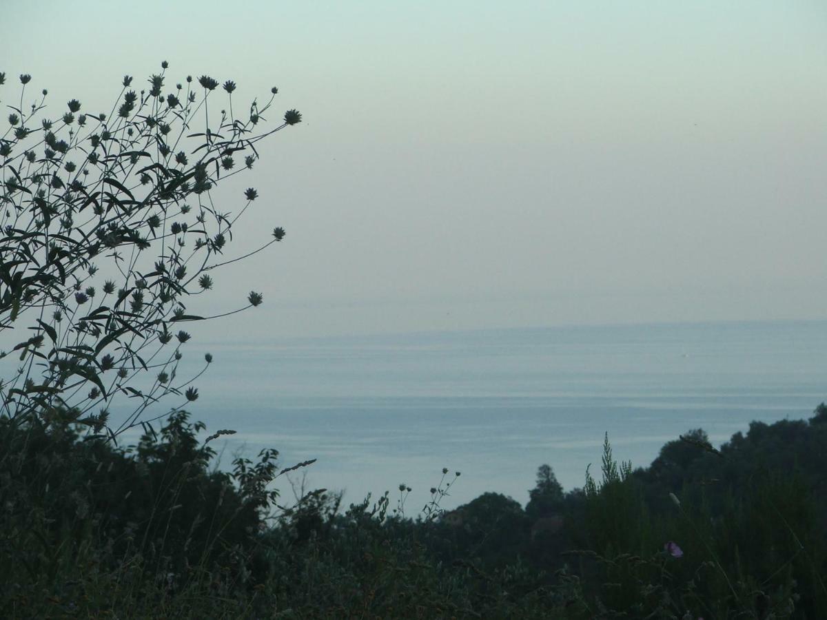 La Casetta Di Sofia Moneglia Exterior foto
